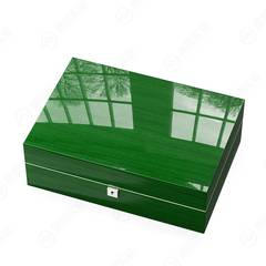 Green 10-Slot Collector Case photo 6